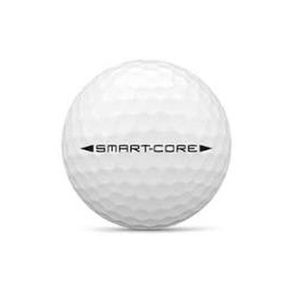 100 Wilson Smart-Core Professional Golfbälle Lakeballs